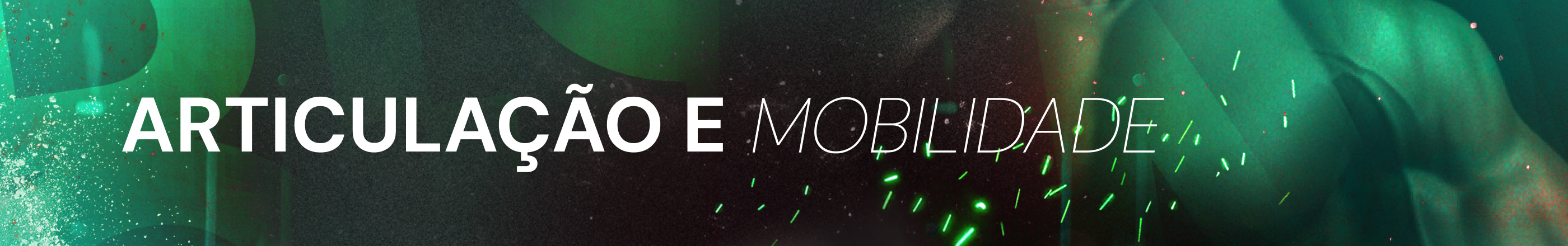 Articulação e Mobilidade